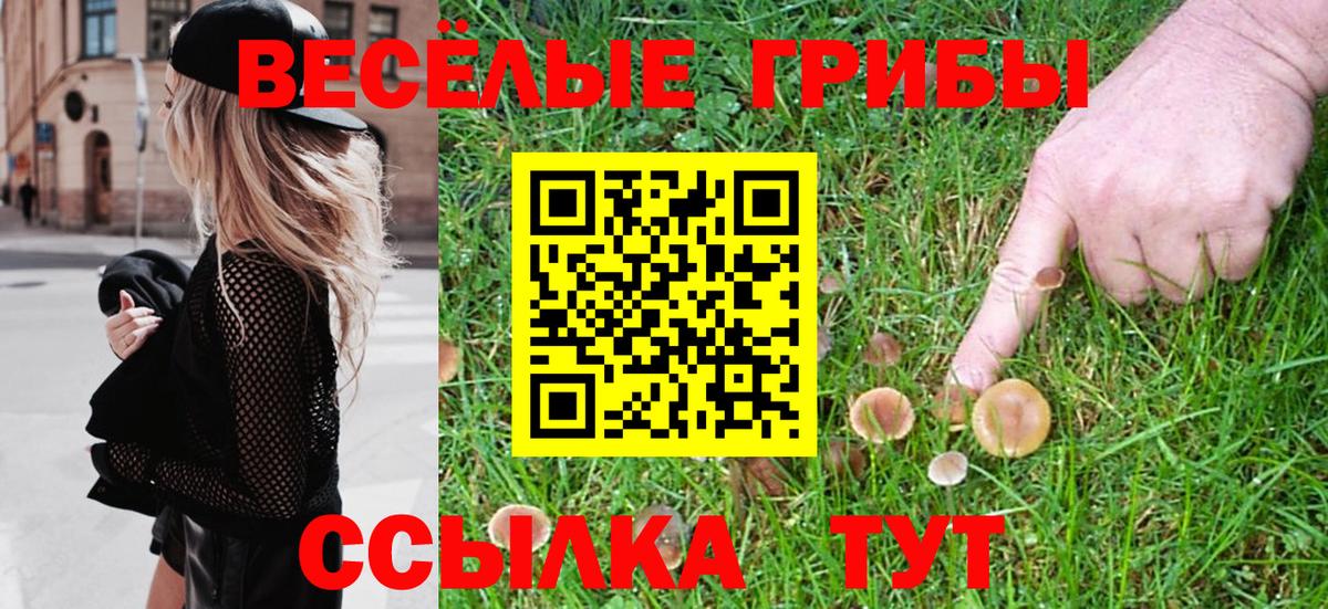 Михайловск  Псилоцибиновые грибы MAGIC MUSHROOMS  Вход с VPN 